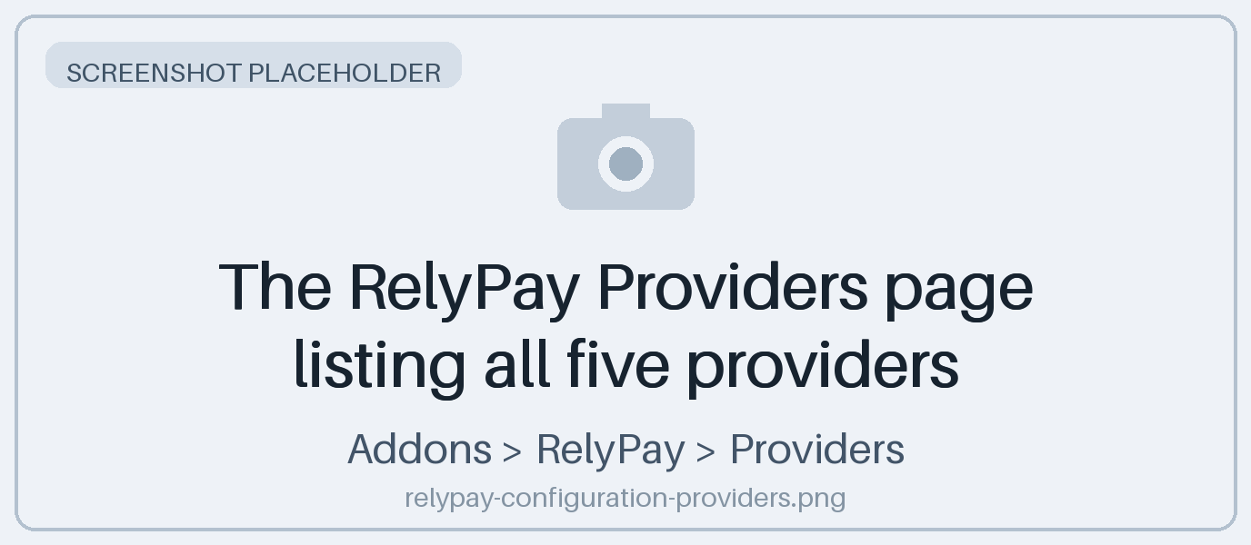 The RelyPay Providers page listing all five providers